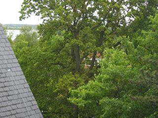 IMG 4135
