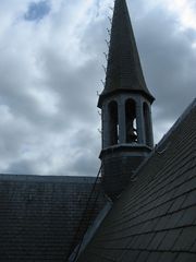 IMG 4137