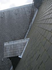 IMG 4138