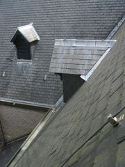 IMG 4139