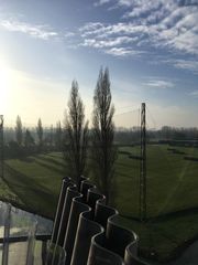 IMG 0247