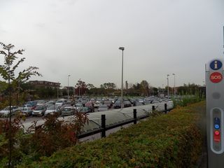 Teylingen-SiteSurvey-2012-014