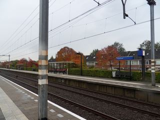 Teylingen-SiteSurvey-2012-015