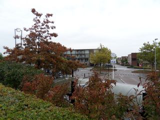 Teylingen-SiteSurvey-2012-017
