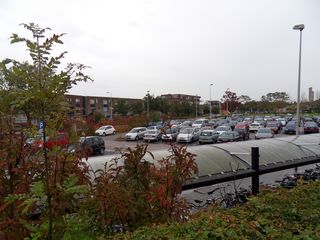 Teylingen-SiteSurvey-2012-018