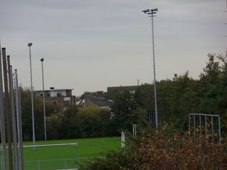 Teylingen-SiteSurvey-2012-043