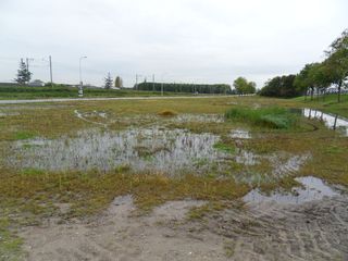 Teylingen-SiteSurvey-2012-048