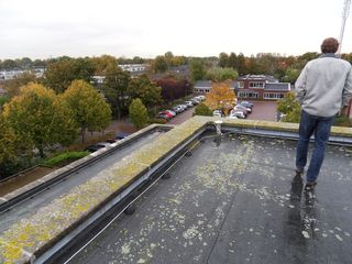 Teylingen-SiteSurvey-2012-056