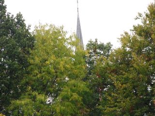 Teylingen-SiteSurvey-2012-073