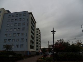Teylingen-SiteSurvey-2012-088