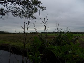 Teylingen-SiteSurvey-2012-094
