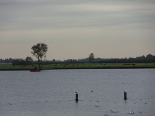 Teylingen-SiteSurvey-2012-104