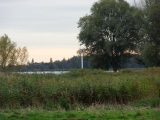 Teylingen-SiteSurvey-2012-111