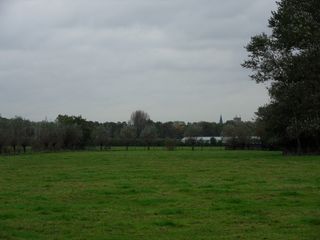 Teylingen-SiteSurvey-2012-117