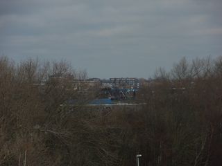 SDC10295