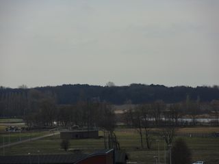 SDC10315