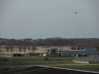 SDC10316