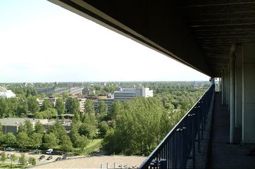 36