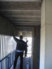 img 1343