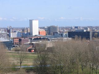 img 1351