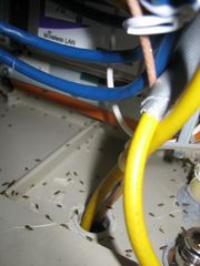 IMG 0292