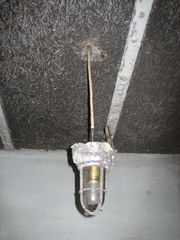 IMG 0293