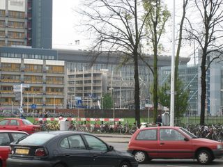 IMG 0294