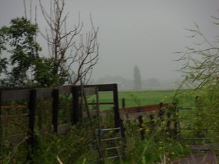 SDC10119
