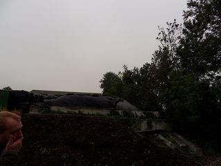 SDC10120