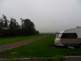 SDC10123