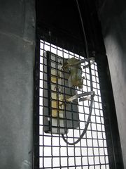 IMG 1083