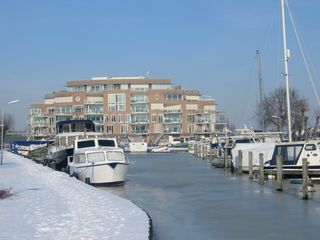 WVLisse 50