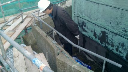 20101110 013