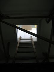 IMG 2688