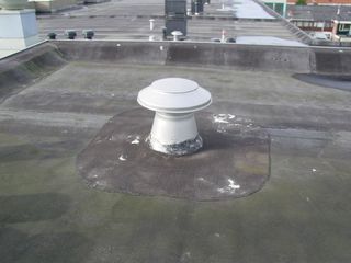 DSC01338