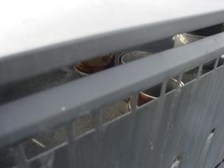 DSC01341