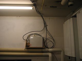 IMG 2818