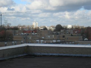 Zijloever 47