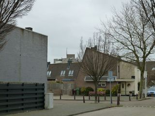 P1070778-1