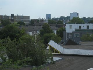 ZwaluwAK08