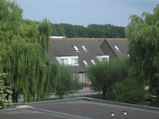 ZwaluwAK3