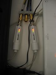ZwaluwAK iris 4