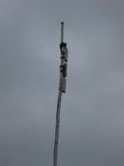 IMG 4842