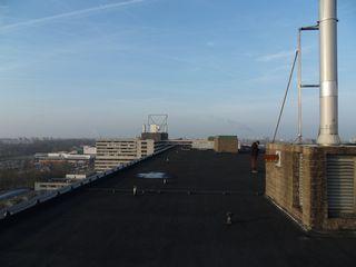 SDC11810