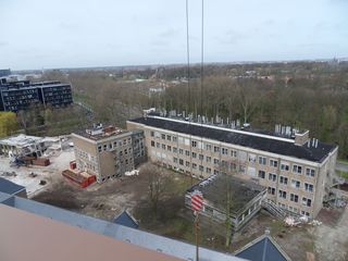 SDC10371
