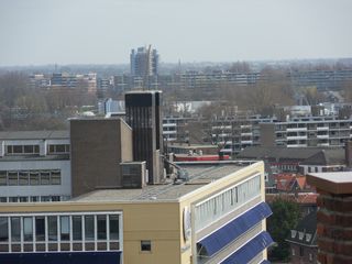 SDC10373
