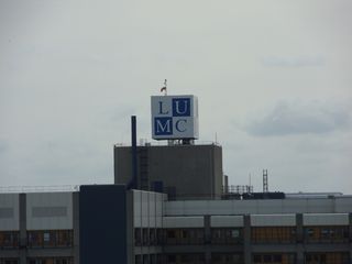 SDC10375