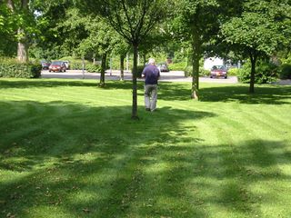 img 0075