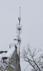 sneeuw nodethomas