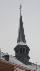 sneeuw nodevosko